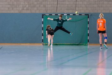 Bild 253 - Frauen OL TuS Esingen - SG Niendorf/Wandsetal : Ergebnis: 24:17